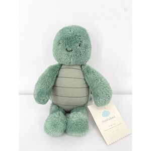 Cloud Island Plush Turtle Toy 10in Green Textured Stuffed Animal NWT